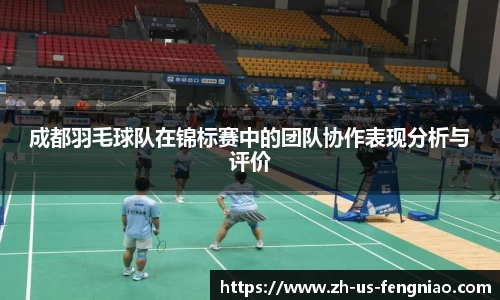 成都羽毛球队在锦标赛中的团队协作表现分析与评价